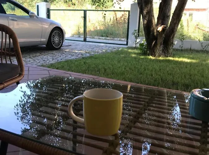 Oasis етаж1 ロゼネッツ